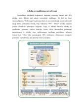 Netinkamų naudoti automobilių eksploatavimas 7 puslapis