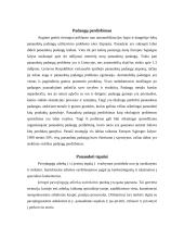 Netinkamų naudoti automobilių eksploatavimas 8 puslapis