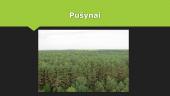 Lietuva žalioji šalis 11 puslapis