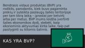 Bendrasis vidaus produktas (BVP) 2 puslapis