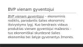 Bendrasis vidaus produktas (BVP) 13 puslapis