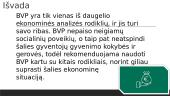 Bendrasis vidaus produktas (BVP) 19 puslapis