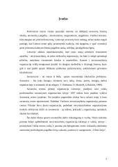 Telšių psichologinio vaikų ir jaunimo centro ,,Vilties linija” veikla 2 puslapis