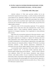 Telšių psichologinio vaikų ir jaunimo centro ,,Vilties linija” veikla 12 puslapis