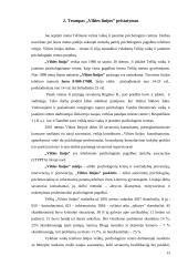 Telšių psichologinio vaikų ir jaunimo centro ,,Vilties linija” veikla 13 puslapis