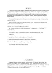 Nevyriausybinių organizacijų veikla ginant vaikų teises 2 puslapis