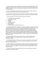 Nevyriausybinių organizacijų veikla ginant vaikų teises 3 puslapis