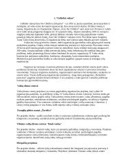 Nevyriausybinių organizacijų veikla ginant vaikų teises 6 puslapis