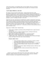 Nevyriausybinių organizacijų veikla ginant vaikų teises 7 puslapis