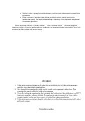 Nevyriausybinių organizacijų veikla ginant vaikų teises 10 puslapis