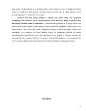 Nikolo Makiavelio valdymo sėkmės strategija ir šiuolaikinis verslas 15 puslapis