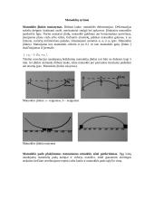 Niveliavimo matuoklės 4 puslapis