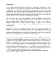 Streso poveikis žmogaus psichinei sveikatai. Depresija ir jos gydymas 3 puslapis
