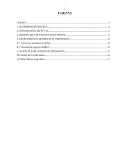 Nyderlandų integracijos į ES aspektai 2 puslapis