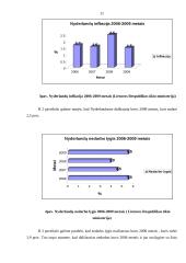 Nyderlandų integracijos į ES aspektai 11 puslapis