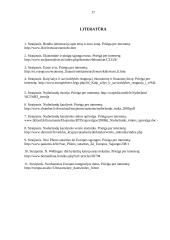 Nyderlandų integracijos į ES aspektai 17 puslapis