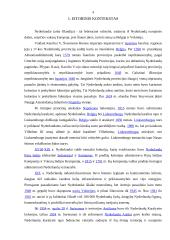 Nyderlandų integracijos į ES aspektai 4 puslapis