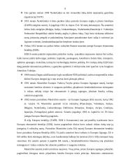 Nyderlandų integracijos į ES aspektai 6 puslapis