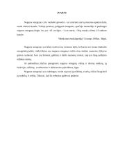 Nugaros smegenys 2 puslapis