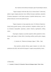 Nugaros smegenys 15 puslapis