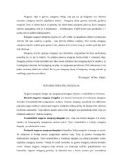 Nugaros smegenys 6 puslapis