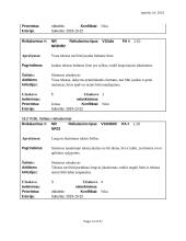 Informacinių sistemų reikalavimų analizė ir specifikacija 13 puslapis