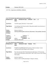 Informacinių sistemų reikalavimų analizė ir specifikacija 17 puslapis