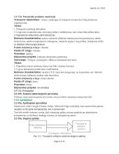 Informacinių sistemų reikalavimų analizė ir specifikacija 5 puslapis