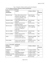 Informacinių sistemų reikalavimų analizė ir specifikacija 9 puslapis