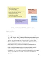 „Aromama” organizacijos veiklos analizė ir sprendimai veiklai gerinti 19 puslapis