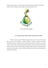 „Aromama” organizacijos veiklos analizė ir sprendimai veiklai gerinti 5 puslapis