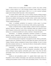 Nuodingieji vorai 3 puslapis