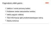 Veikomis grįstas valdymas (ABM) 10 puslapis