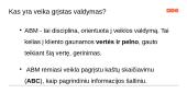 Veikomis grįstas valdymas (ABM) 2 puslapis