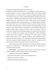 Instrumentinio lytėjimo tyrimas 2 puslapis