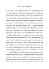 Instrumentinio lytėjimo tyrimas 6 puslapis