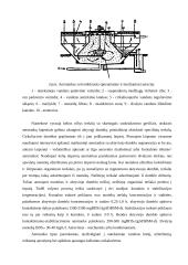Nutekamųjų vandenų įrenginiai. Nutekamųjų vandenų įrenginių charakteristikos 18 puslapis