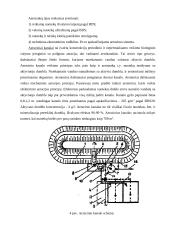 Nutekamųjų vandenų įrenginiai. Nutekamųjų vandenų įrenginių charakteristikos 19 puslapis