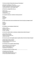 Istorijos testai pagal temas egzaminui 3 puslapis