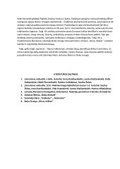 Kaip karo tragedijos atsispindi lietuvių literatūroje? 3 puslapis