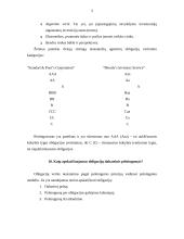 Obligacijos 3 puslapis