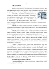 Obligacijos ir kiti vertybiniai popieriai 3 puslapis