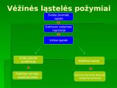 Vėžio žymenys, prostatos vėžys ir PSA tyrimas 5 puslapis