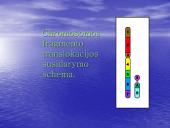 Chromosomų ir genomo mutacijos 11 puslapis