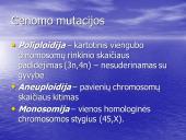 Chromosomų ir genomo mutacijos 14 puslapis