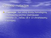 Chromosomų ir genomo mutacijos 15 puslapis