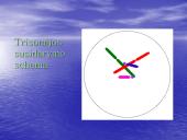 Chromosomų ir genomo mutacijos 17 puslapis