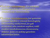 Chromosomų ir genomo mutacijos 10 puslapis
