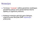 Chromosomų ir genų mutacijos 2 puslapis