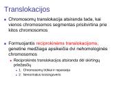 Chromosomų ir genų mutacijos 13 puslapis